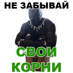 Чёрная ПАНТЕРА @TuristasTV sticker 10