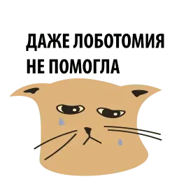 Кошка со смыслом sticker 9
