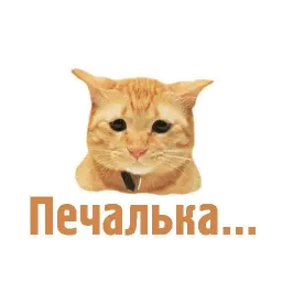 TCA sticker 12