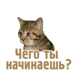 TCA sticker 4