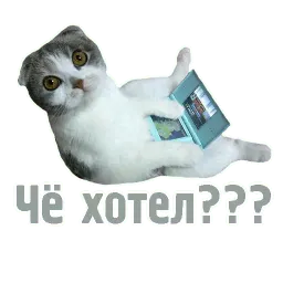 TCA sticker 8