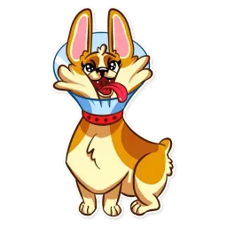 Corgeous sticker 6