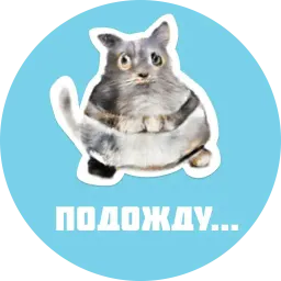 CreepyCats sticker 11