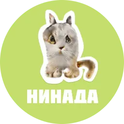 CreepyCats sticker 6