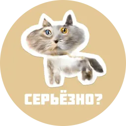 CreepyCats sticker 8