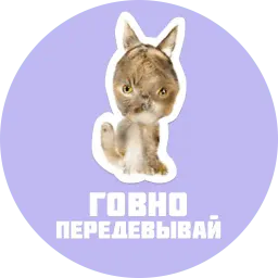 CreepyCats sticker 9