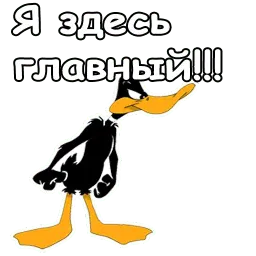 Даффи Дак Telegram sticker pack