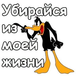 Даффи Дак sticker 4