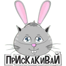 DailerCats sticker 9