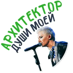 Диана Арбенина и Ночные Снайперы @TuristasTV sticker 11