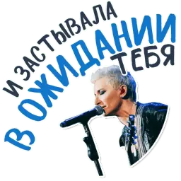 Диана Арбенина и Ночные Снайперы @TuristasTV sticker 3