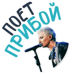Диана Арбенина и Ночные Снайперы @TuristasTV sticker 10