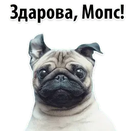 Собаки против котов sticker 4