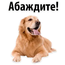 Собаки против котов sticker 5
