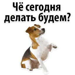 Собаки против котов sticker 6
