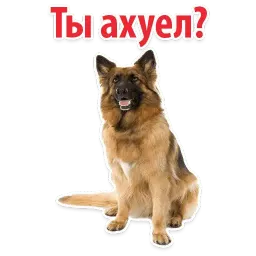 Собаки против котов sticker 10