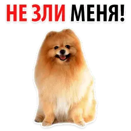 ? Собачий Слэнг sticker 9