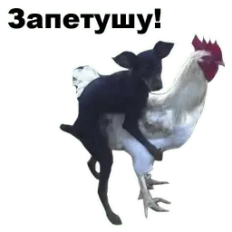Псы @eeZee_stickers sticker 12