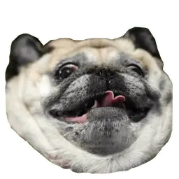 Псы @eeZee_stickers sticker 3