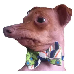 Псы @eeZee_stickers sticker 6