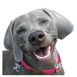 Псы @eeZee_stickers sticker 7