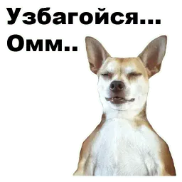 Псы @eeZee_stickers sticker 9