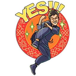 Bruce Lee sticker 12