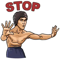 Bruce Lee sticker 9