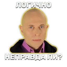 DruzhkoSHOW sticker 2