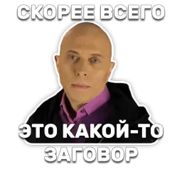 DruzhkoSHOW sticker 11