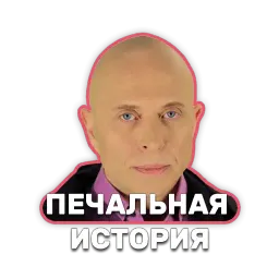 DruzhkoSHOW sticker 4