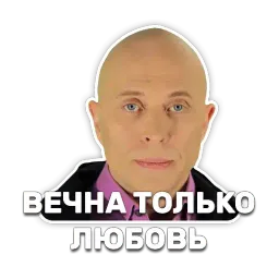 DruzhkoSHOW sticker 6