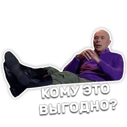 DruzhkoSHOW sticker 7