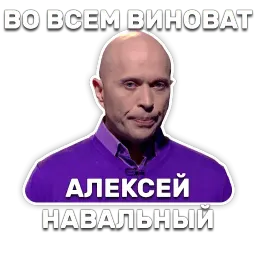 DruzhkoSHOW sticker 8