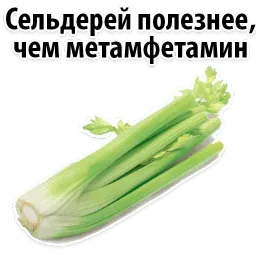 Факты о Сельдерее @TuristasTV sticker 2