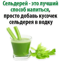 Факты о Сельдерее @TuristasTV sticker 11