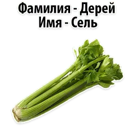 Факты о Сельдерее @TuristasTV sticker 6