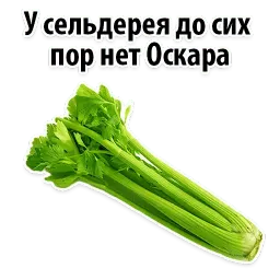 Факты о Сельдерее @TuristasTV sticker 7