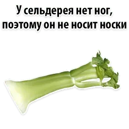 Факты о Сельдерее @TuristasTV sticker 9