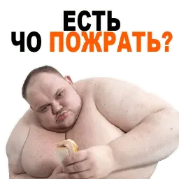 😱 Жирные @TuristasTV sticker 2