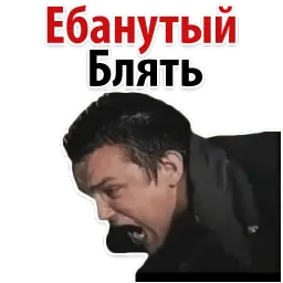 Твои Любимые Фразочки @TuristasTV sticker 4