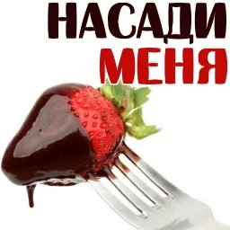 СЛАДОСТИ и клубничка @TuristasTV sticker 12