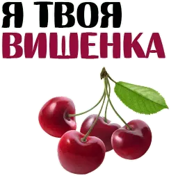 СЛАДОСТИ и клубничка @TuristasTV sticker 10