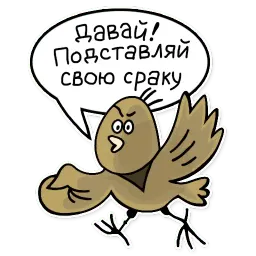 Fortran Telegram sticker pack