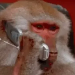 Забавные животные Gif sticker 11