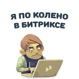 Future developer sticker 12