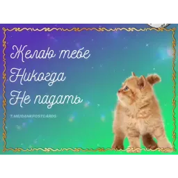 Встратые открытки sticker 4