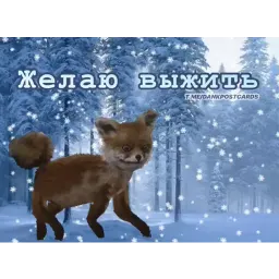 Встратые открытки sticker 9