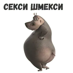 Бегемот Глория sticker 4
