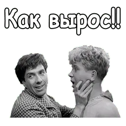 Золотой телёнок sticker 12